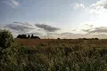 участок по адресу шевченка