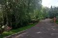 ділянка за адресою Лісова