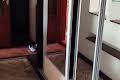 квартира за адресою Прогресивна вул., 7