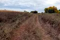 ділянка за адресою с. Супрунівка, 