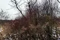 ділянка за адресою Ужгород, Озерна вул., 88