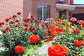будинок за адресою Латвійська вул. (Вологодська)