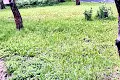 участок по адресу Холодная ул., 85