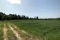 участок по адресу франка