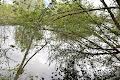 будинок за адресою с. Кобилянка, Речная