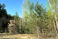 ділянка за адресою Університетська вул., 1