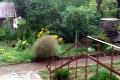 дом по адресу с. Повстин, Песчаная ул. (Гагаріна), 23