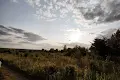 участок по адресу Шевченка