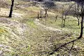 ділянка за адресою Б.Хмельницького
