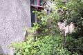 квартира за адресою Колонтаївська вул., 30