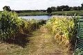 будинок за адресою ул. Заречная
