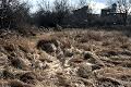 ділянка за адресою Дачна вул.