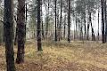 участок по адресу Київська ул.