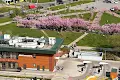 квартира за адресою Червоної Калини просп., 56а