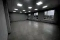 комерційна за адресою Центральна вул. (Чапаєва), 65