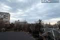 квартира по адресу Вавиловых ул., 9--11