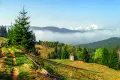 ділянка за адресою с. Волова, 