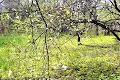 ділянка за адресою Таджицька вул., 4