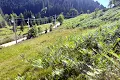 участок по адресу с. Поляница, Прохідний