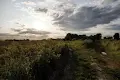 участок по адресу шевченка