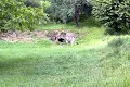 будинок за адресою Дачна
