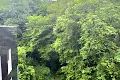 квартира по адресу Стуса ул. (Островского), 12