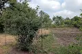 будинок за адресою Джерельна
