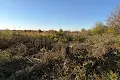 ділянка за адресою с. Баранинці, 