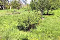участок по адресу с. Заря, Соборна, 34а