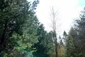 ділянка за адресою с. Ясногородка, 