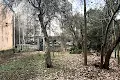 участок по адресу Моршинская ул.