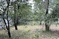 участок по адресу Газопроводная ул., 42