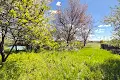 будинок за адресою смт. Бородянка, Центральна вул. (Леніна)