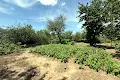 будинок за адресою Бойовий пров., 1