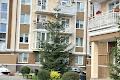квартира по адресу Шота Руставели ул., 6