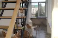 дом по адресу Піддубне