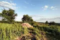участок по адресу Шевченка