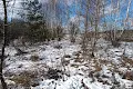 участок по адресу с. Новоселица, Бориса Тена, 1