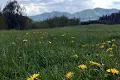 ділянка за адресою Івана франка