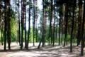 комерційна за адресою сновянка, 20