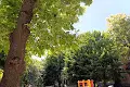 квартира по адресу Стрыйская ул., 96