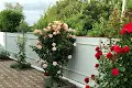 будинок за адресою Берегова вул., 5