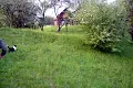 ділянка за адресою Волошина
