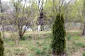квартира за адресою Василя Стуса вул. (Чернишевського), 33