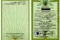 ділянка за адресою Князя Святослава вул.