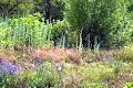 ділянка за адресою Панютинський пров., 5