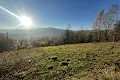 ділянка за адресою Країще
