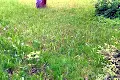 участок по адресу Холодная ул., 85