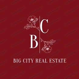 Big City Real Estate