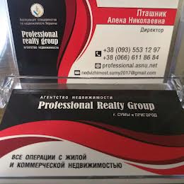 PROFESSIONAL realty group